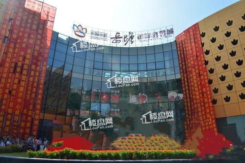 岳塘國(guó)際商貿(mào)城 中部商貿(mào)新引擎，開(kāi)創(chuàng)智慧交易新篇章